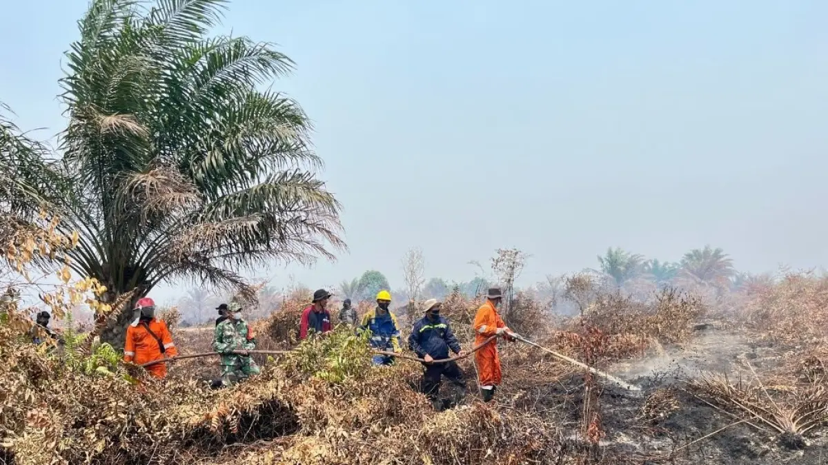 Upaya penanganan kebakaran hutan dan lahan (Karhutla) di Kabupaten Kayong Utara, Kalimantan Barat. (ISTIMEWA)