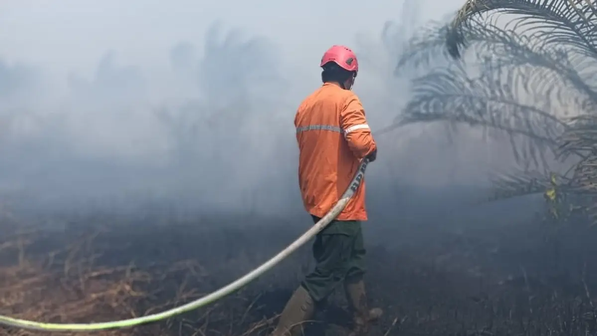 Kondisi terjadinya kebakaran hutan dan lahan di Kabupaten Kayong Utara. (ISTIMEWA)