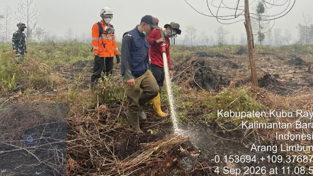 Sejumlah personel gabungan terus berupaya melakukan pemadaman lahan yang terbakar di Kabupaten Kubu Raya, Kalimantan Barat pada Jumat (4/9). (ISTIMEWA)