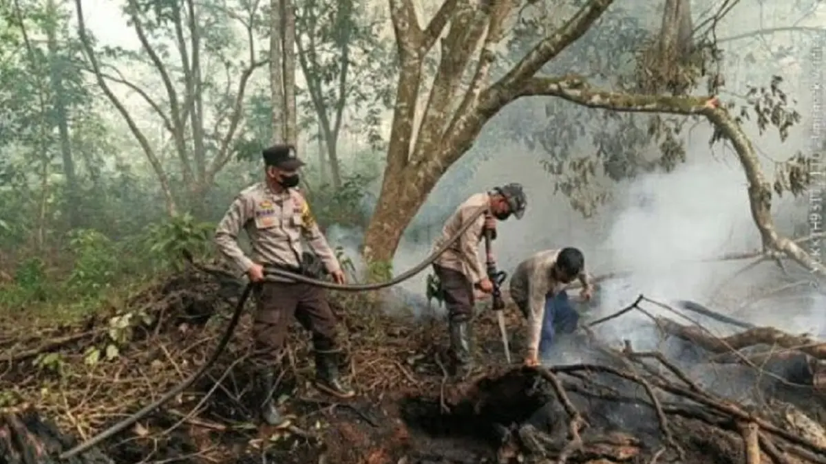 Upaya pemadaman dan pendinginan kebakaran hutan dan lahan (karhutla) di Jalan Senen, Kelurahan Sungai Rasau, Kecamatan Singkawang Utara, Minggu (6/9). (IST)

