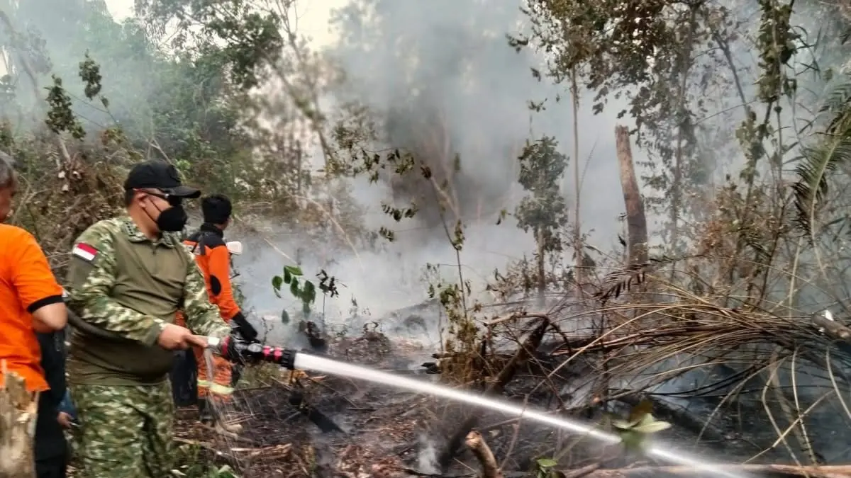 Bupati Ketapang, Alexander Wilyo, ikut memadamkan kebakaran lahan yang terjadi di Kuala Tolak, Matan Hilir Utara, Sabtu (5/9).  (ISTIMEWA)