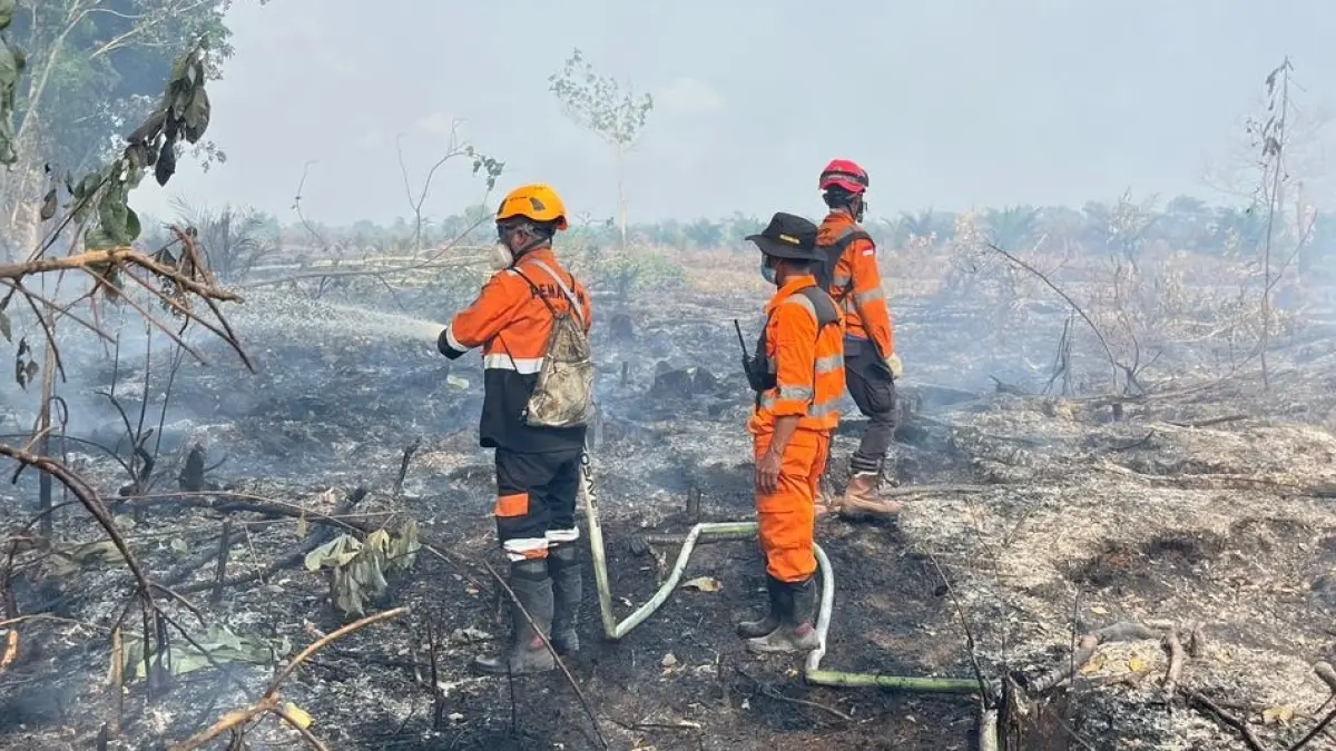 Kabut asap akibat kebakaran hutan dan lahan (karhutla) di Kabupaten Kayong Utara.  (ISTIMEWA)

