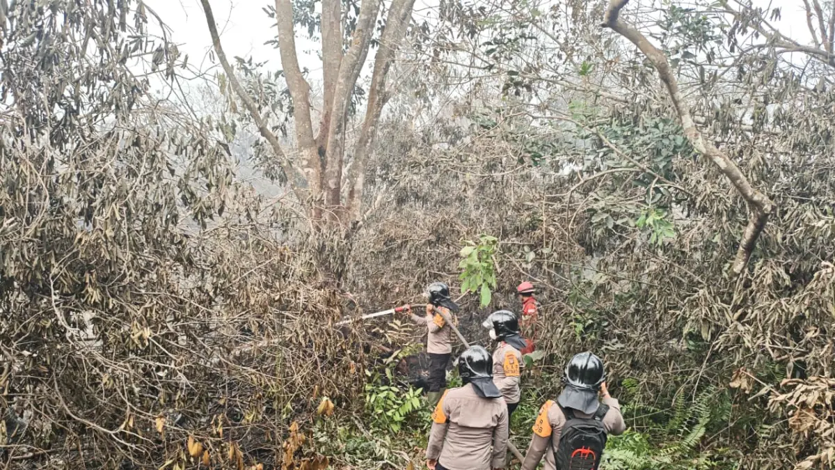 PADAMKAN API: Personel Tim Siaga Satbrimob Polda Kalbar memadamkan titik api yang kembali muncul di lahan bekas karhutla di Kota Singkawang, Senin (7/9). Kawasan sekitar tujuh hektare itu terus dipantau untuk mencegah kebakaran susulan.