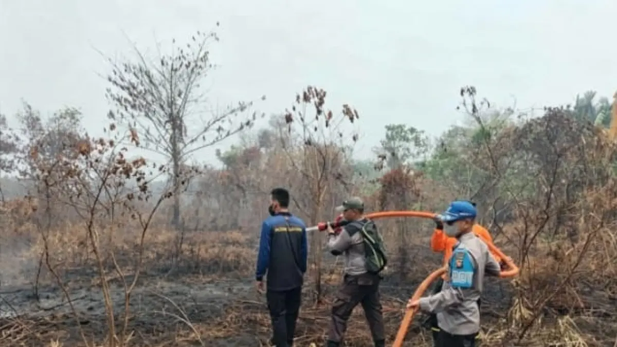 Sejumlah petugas terus melakukan penanganan karhutla di Jalan Senen, Kelurahan Sungai Rasau, Kecamatan Singkawang Utara, Senin (7/9).