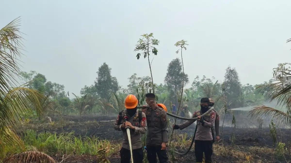 Petugas terus melakukan pemadaman karhutla dan pendinginan di Kecamatan Teluk Keramat.
