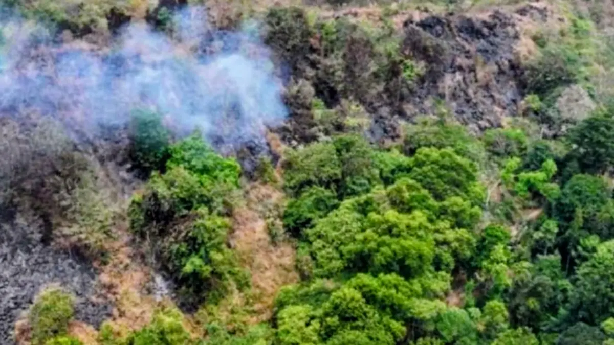 Foto udara memperlihatkan area kebakaran hutan di Taman Nasional Gunung Ciremai, Jawa Barat, pada September 2026. (ANTARA/HO-Kemenhut)