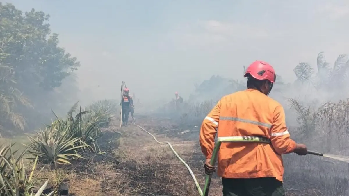 Kondisi Karhutla di Kabupaten Kayong Utara menimbulkan adanya kabut asap dan mengganggu jarak pandang. (ISTIMEWA)