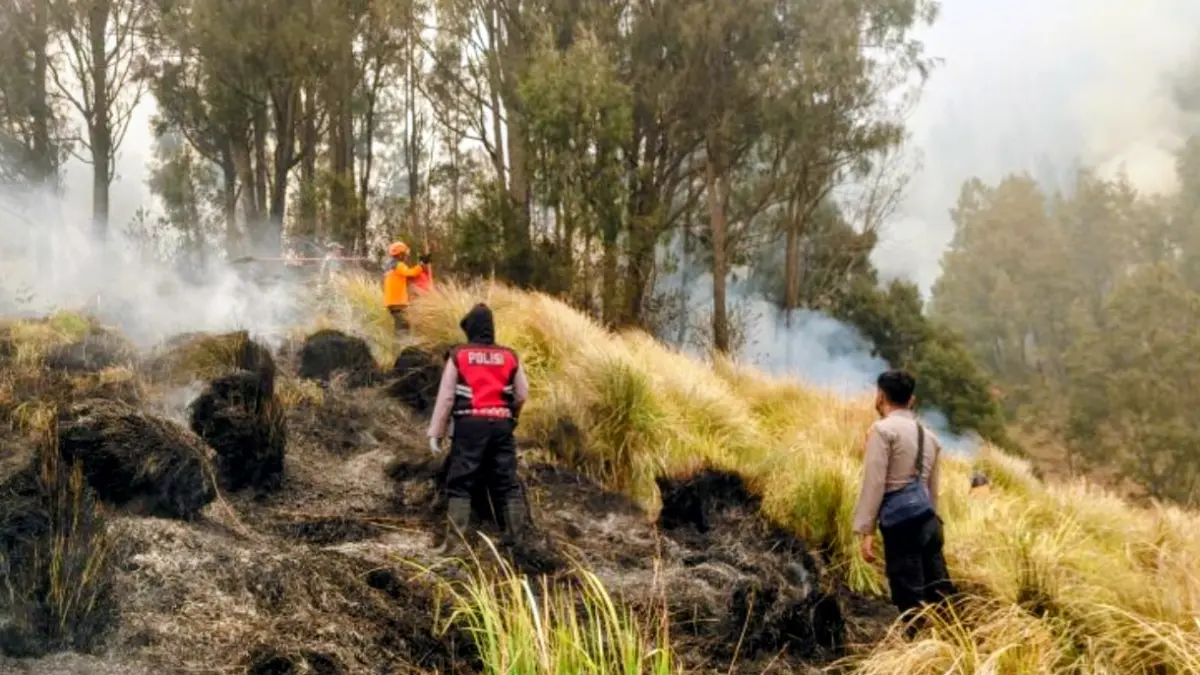 Petugas gabungan memadamkan titik api di Gunung Bromo, Kabupaten Probolinggo, Jumat (11/9). (ANTARA/HO-Polres Probolinggo)