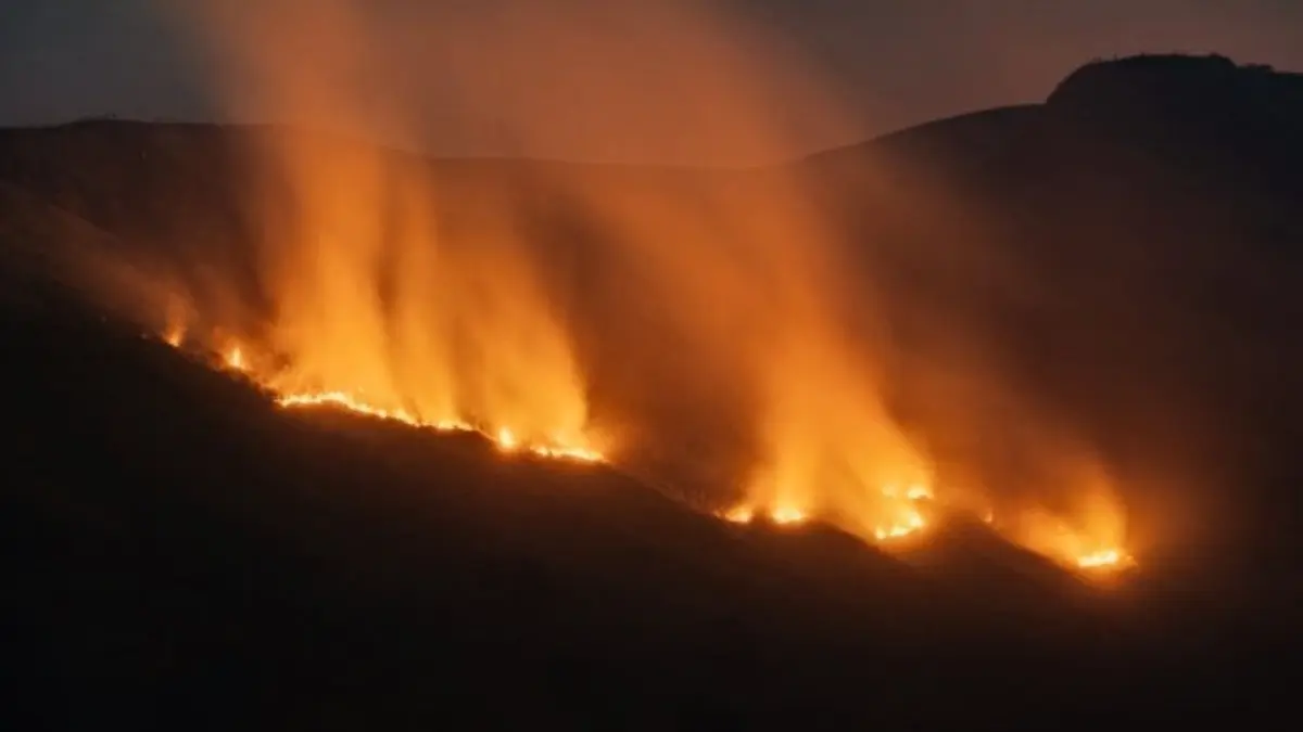 Arsip foto - Kobaran api yang muncul di area Sabana Pengol, Gunung Bromo, Jawa Timur, Jumat (11/9). (ANTARA/Irfan Sumanjaya)