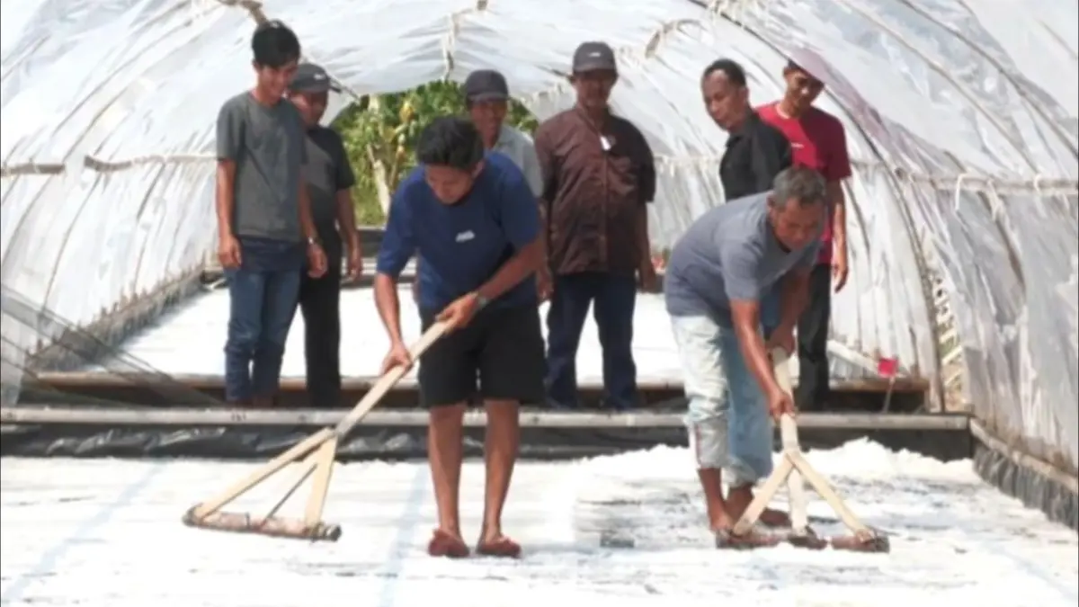 Petani Garam di Desa Sebubus, Kecamatan Paloh, Kabupaten Sambas mengeringkan garam pada tambak mereka, Minggu (13/9) (ANTARA/Rendra Oxtora)