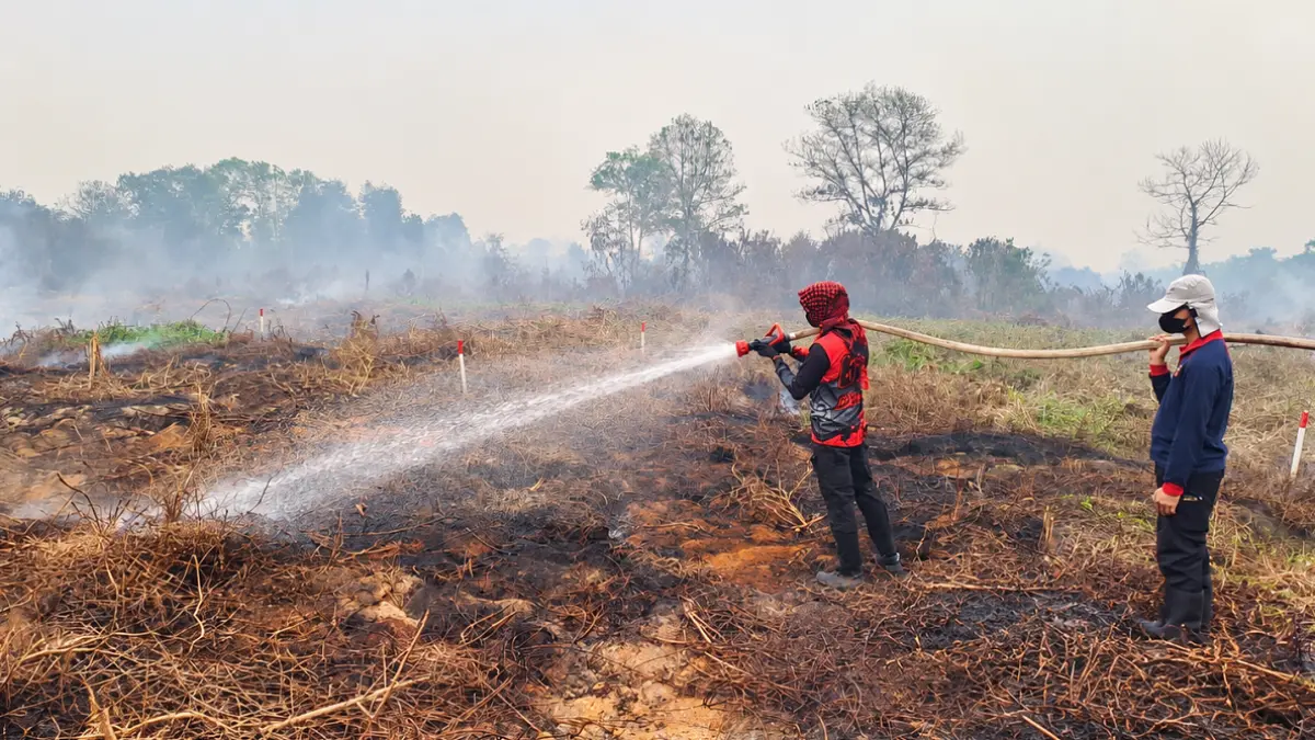 Petugas melakukan pendinginan pada lahan bekas terbakar di kawasan Parit Seruat, Desa Limbung, Kecamatan Sungai Raya, Minggu (13/9). (Humas Polri)