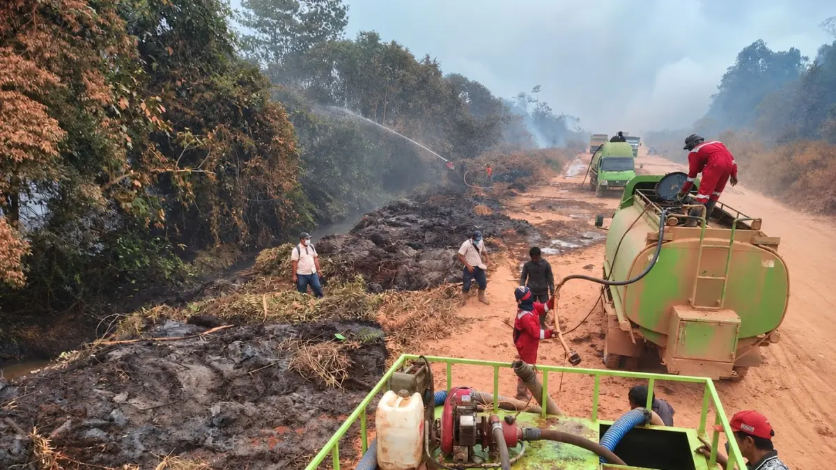 PADAMKAN API: Tim gabungan melakukan pemadaman dan pembasahan di zona penyangga yang berbatasan dengan konsesi PT Mayawana Persada dan PT Jalin Vaneo di Kabupaten Ketapang.