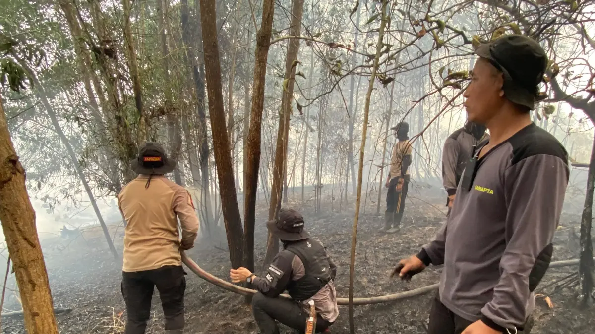 Kebakaran hutan dan lahan (karhutla) kembali terjadi di Kabupaten Sintang. Sekitar dua hektare lahan di Kelurahan Akcaya terbakar pada Senin, (14/9) siang.(ISTIMEWA)