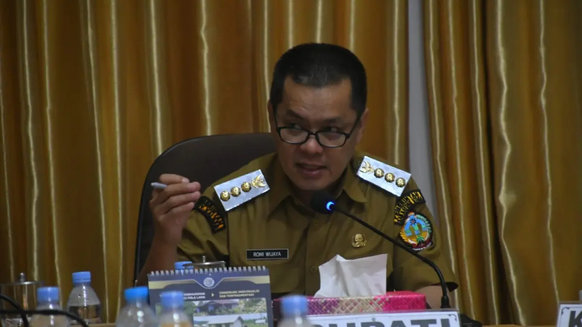 Romi Wijaya