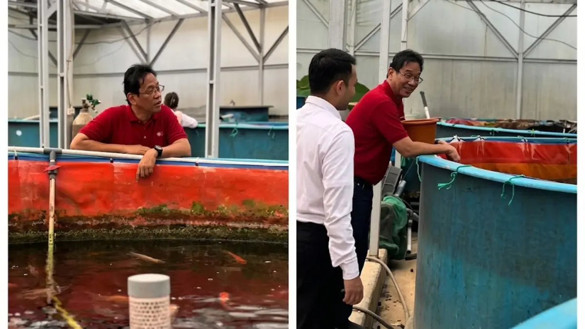 Purbaya Yudhi Sadewa bagikan momen memberi makan ikan setelah tak lagi menjabat Menkeu. (TIKTOK)