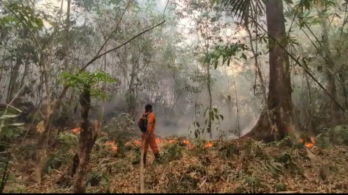 Tim gabungan saat melakukan proses pemadaman api di bukit Peramas, Sukadana, Kabupaten Kayong Utara. (ISTIMEWA)