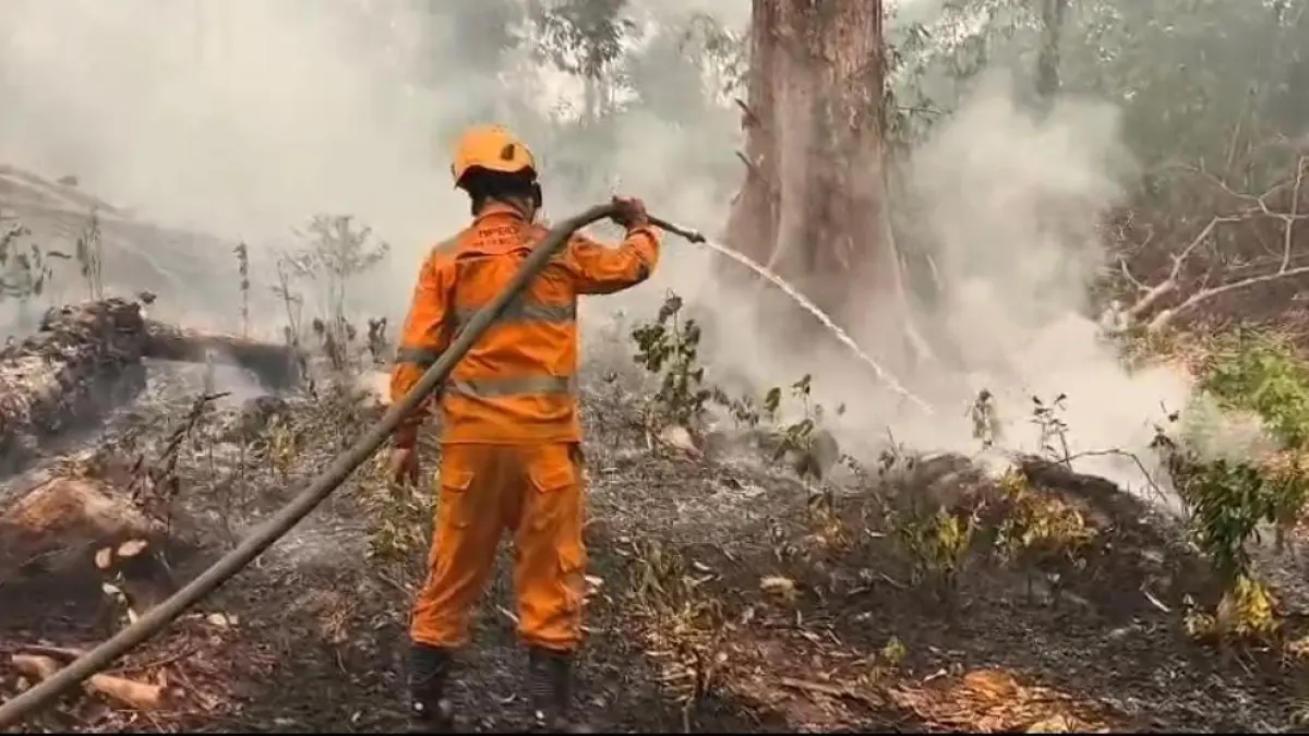Ilustrasi upaya pemadaman karhutla.