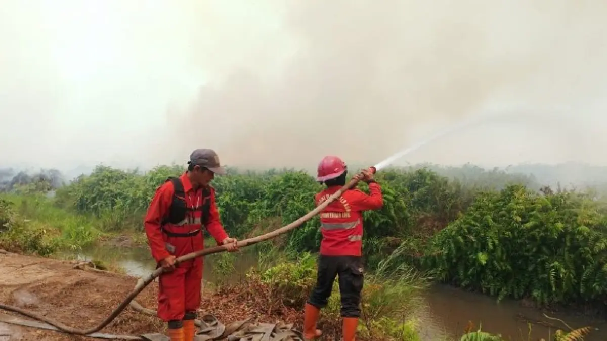 Pemadaman karhutla di lahan gambut Londerang, Kabupaten Tanjabtim, jambi. (ANTARA/HO-Humas Manggala Agni)