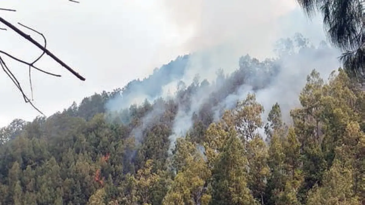 KAWASAN KERAMAT TERBAKAR: Kobaran api membakar vegetasi di Gunung Kawi, Jawa Timur. Hingga Minggu (20/9), kebakaran telah melanda sekitar 385 hektare serta berdampak pada jalur pendakian dan jaringan air menuju desa wisata religi. (RADAR MALANG)