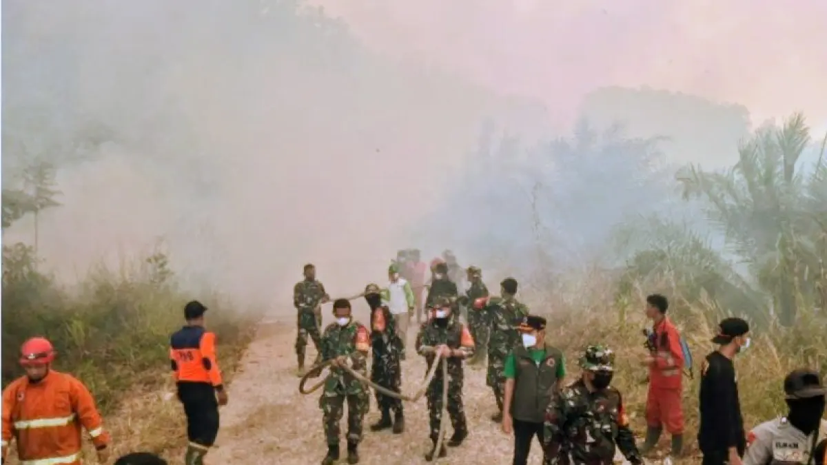 Lahan Tahura yang terbakar di Kabupaten Batang Hari, Jambi. (ANTARA/Risky)