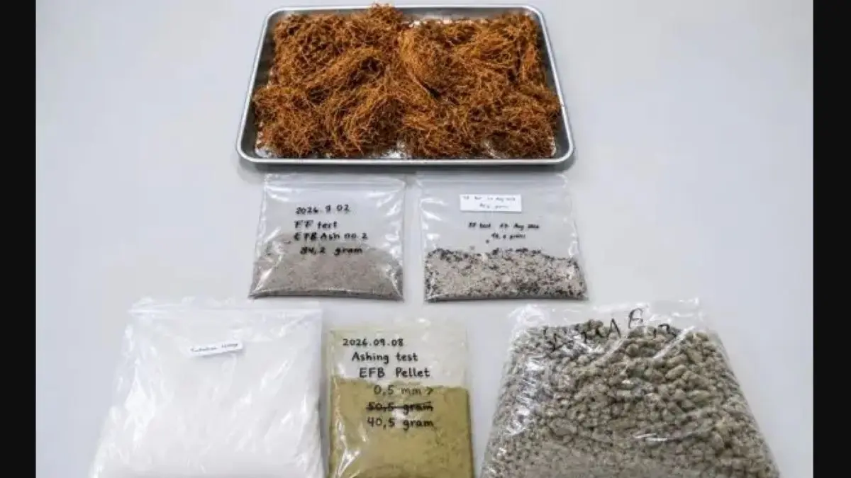 BRIN mengembangkan teknologi mengubah tandan kosong sawit menjadi bahan bakar biomassa untuk boiler. (BRIN)