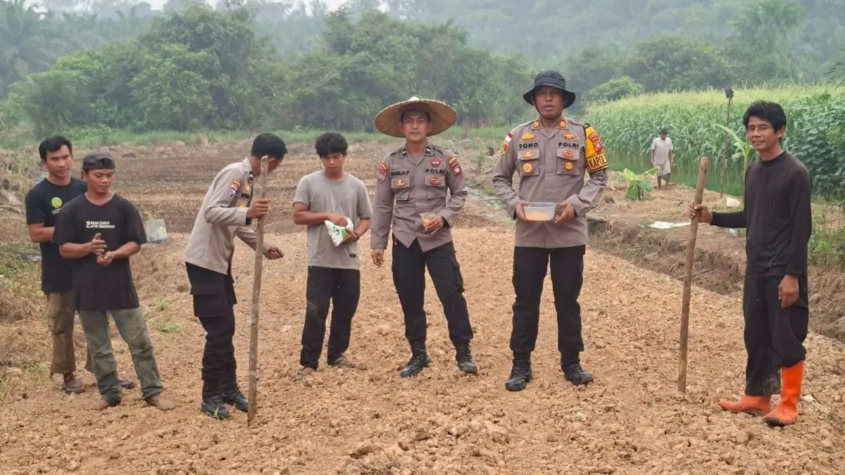 Kapolsek Parindu AKP Sutono bersama personel Polsek Parindu dan petani melakukan penanaman jagung varietas Sumo Sakti di lahan monokultur seluas sekitar 0,5 hektare milik warga di Dusun Empawek, Desa Palem Jaya, Kecamatan Parindu, Selasa (22/9). (ISTIMEWA)