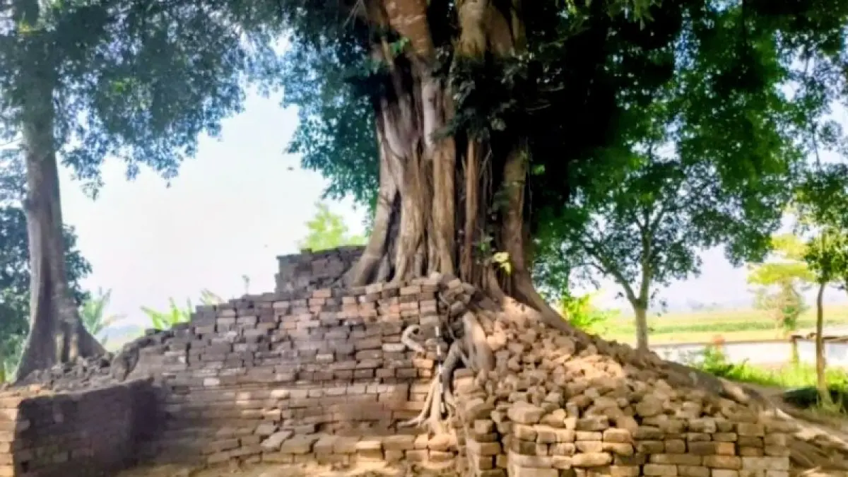Candi Deres yang menjadi salah satu benda cagar budaya di Jember. ANTARA/HO-Diskominfo Jember