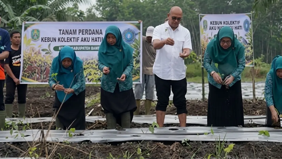 TP PKK Sambas melakukan penanaman cabai serta sayur-mayur dalam program “Aku Hatinya PKK” bekerja sama dengan Dinas Pertanian dan Ketahanan Pangan Sambas.