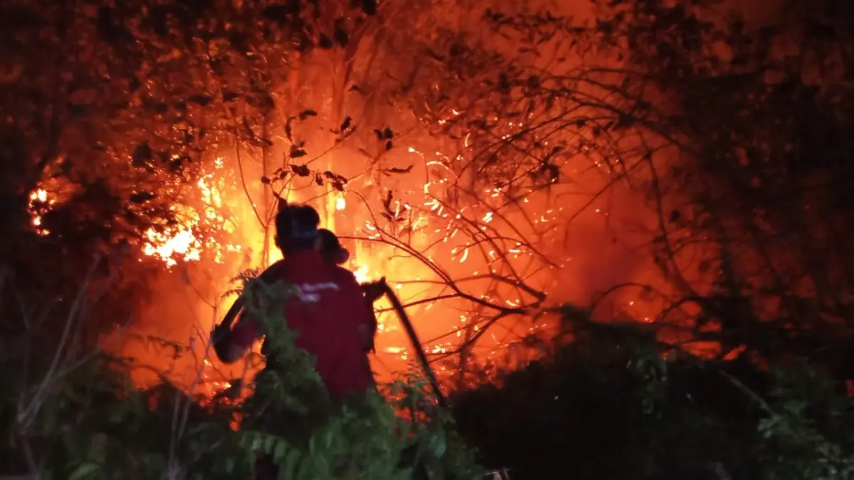 Situasi karhutla sekitar Kota Sukadana, Kabupaten Kayong, Kalimantan Barat.