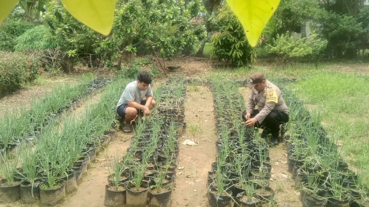 : Bhabinkamtibmas berdialog dengan petani sekaligus meninjau tanaman yang dikembangkan.  (ISTIMEWA)