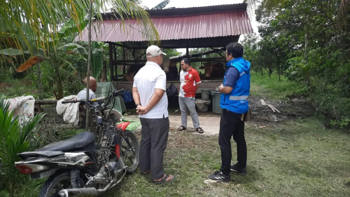 Tim TJSL PLN UP3 Singkawang bersama perwakilan Pemerintah Desa Sejiram dan BUMDes Maju Bersama meninjau langsung lokasi Unit Peternakan Sapi yang menjadi penerima manfaat Program Electrifying Agriculture Tahun 2026 di Desa Sejiram, Kecamatan Tebas, Kabupaten Sambas, Rabu (30/9/2026). Kegiatan tersebut menjadi bagian dari identifikasi kebutuhan elektrifikasi dan sarana pendukung untuk meningkatkan efisiensi serta produktivitas usaha peternakan.