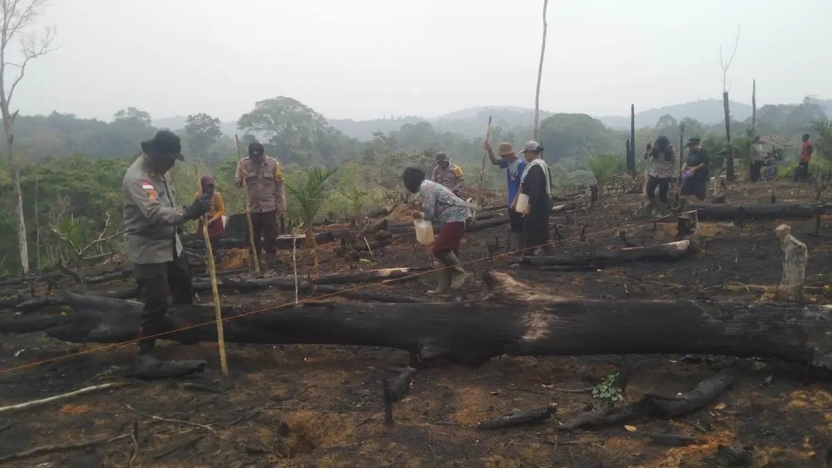 Kapolsek Meliau Iptu Supar bersama personel Polsek Meliau, pemilik lahan, dan relawan ketahanan pangan melakukan penanaman perdana jagung hibrida di lahan seluas sekitar 2 hektare di Dusun Kuala Posong, Desa Cupang, Kecamatan Meliau, Kamis (1/10). (ISTIMEWA)
