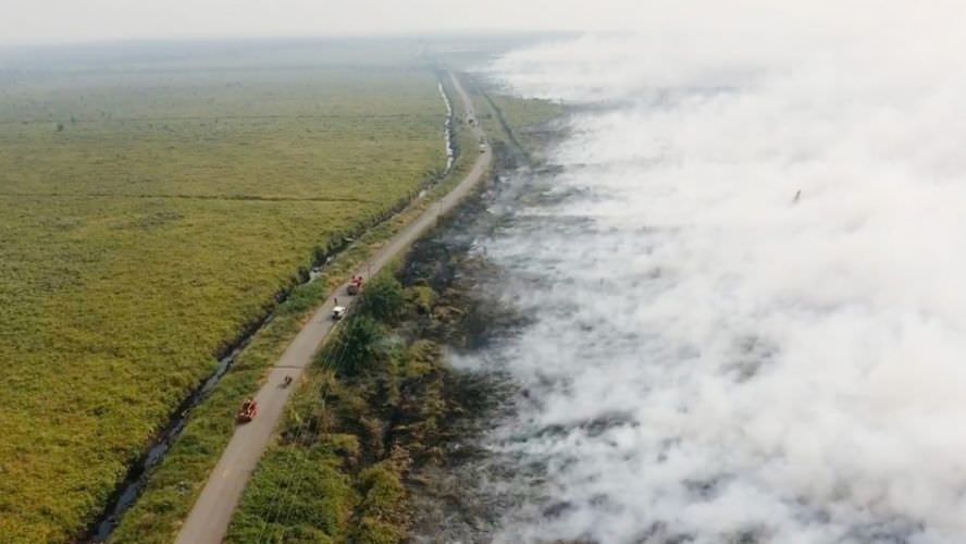 TERBAKAR: Lahan di kawasan Pelang, Matan Hilir Selatan, kembali terbakar. Kebakaran terjadi di KM 17-20 Jalan Pelang-Tumbang Titi. ISTIMEWA