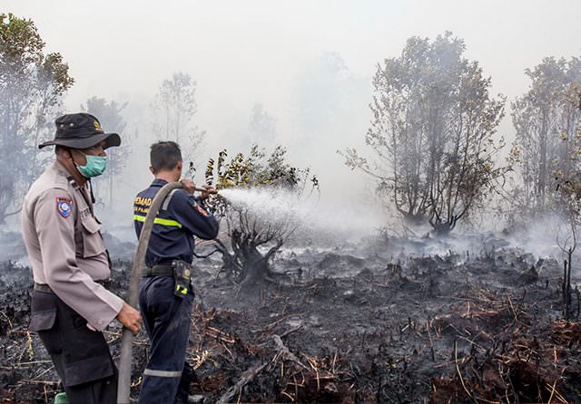 PENGHASIL ASAP: Petugas pemadam kebakaran dibantu polisi berusaha memadamkan api di lahan gambut di Jalan G Obos XIV Ujung, Palangka Raya, kemarin sore (8/9). (Agus Pramono/Kalteng Pos)