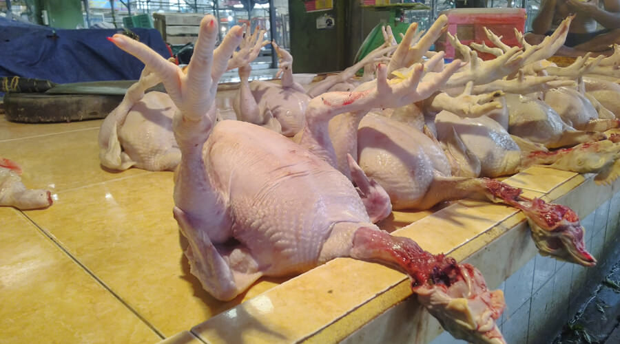 KEMBALI NORMAL : Harga ayam di Pasar Flamboyan kembali normal, setelah sebelumnya sempat anjlok di bawah harga eceran tertinggi. SITI/PONTIANAK POST