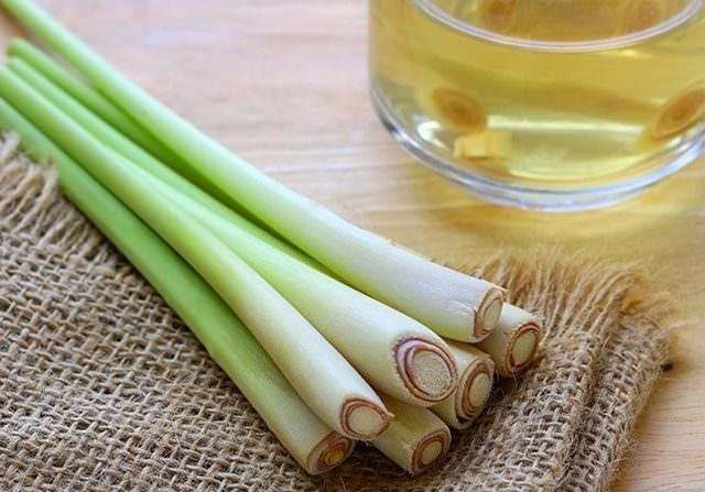 Air rebusan serai memiliki 7 manfaat jika diminum secara rutin. (MomJunction)