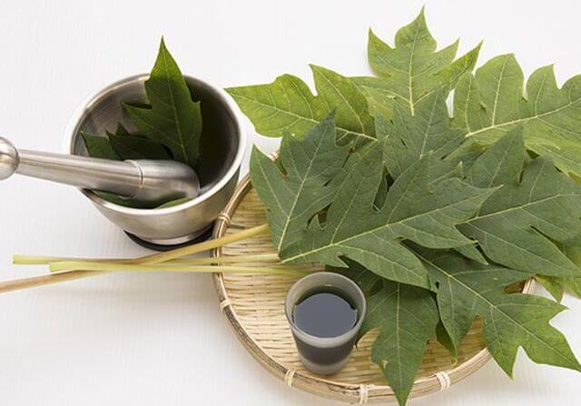 Minuman yang berasa dari daun pepaya. (Style Craze)