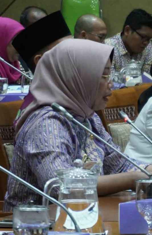 RAPAT: Bupati Erlina saat mengikuti RDPU Komisi IX DPR-RI.ISTIMEWA