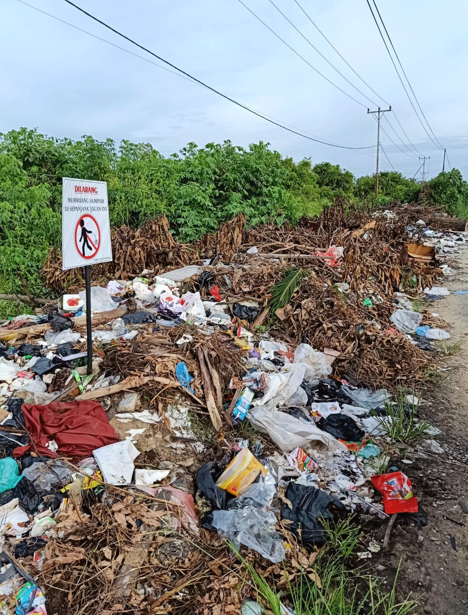 BERSERAKAN : Sampah berserakan di Jalan Lingkar Kota Ketapang. Meski telah dipasang plang larangan membuang sampah, kesadaran masyarakat akan hal tersebut masih rendah. ISTIMEWA 