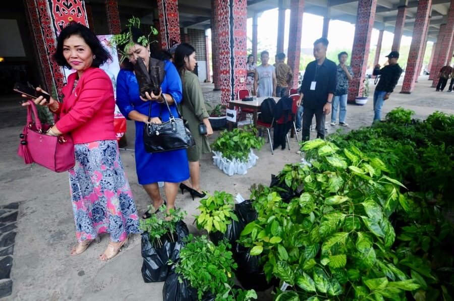 Para tamu undangan mendapat bibit pohon sebagai suvenir pernikahan. foto Haryadi