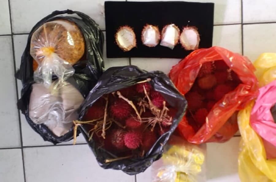 Sabu yang disembunyikan di dalam rambutan. foto istimewa