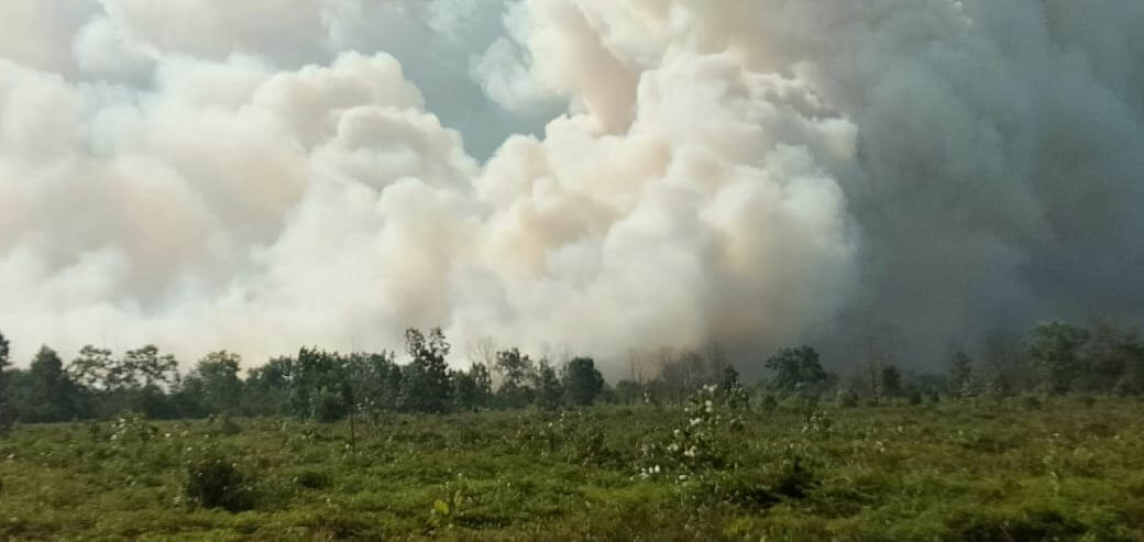 KEBAKARAN LAHAN: Karhutla di sekitar salah satu perkebunan di Kalbar beberapa waktu lalu yang menimbulkan dampak kerugian bagi perusahaan. DOK-PONTIANAK POST