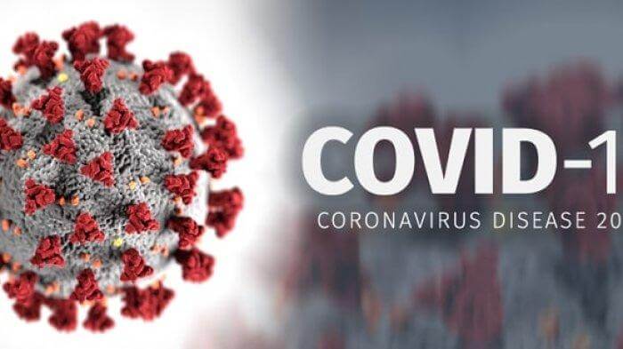Ilustrasi virus corona. (Istimewa)