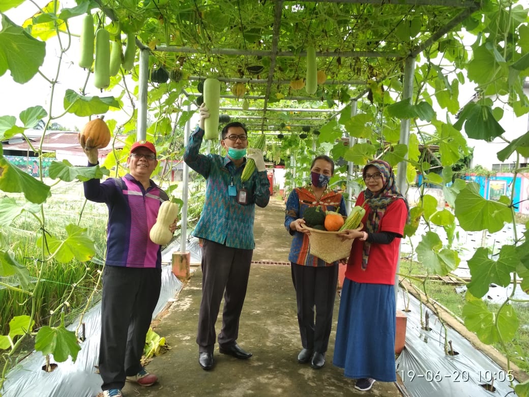 PANEN: Jajaran Distan TPH Kalbar saat melakukan panen di kebun percontohan. HUMAS DISTAN TPH KALBAR