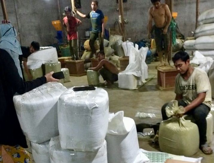 OLAH KRATOM: Aktivitas pengolahan daun kratom di Pontianak. Selama masa pandemic, permintaan komoditi kratom meningkat tajam. Dalam satu bulan mampu mengekspor 600 - 800 ton.  ISTIMEWA