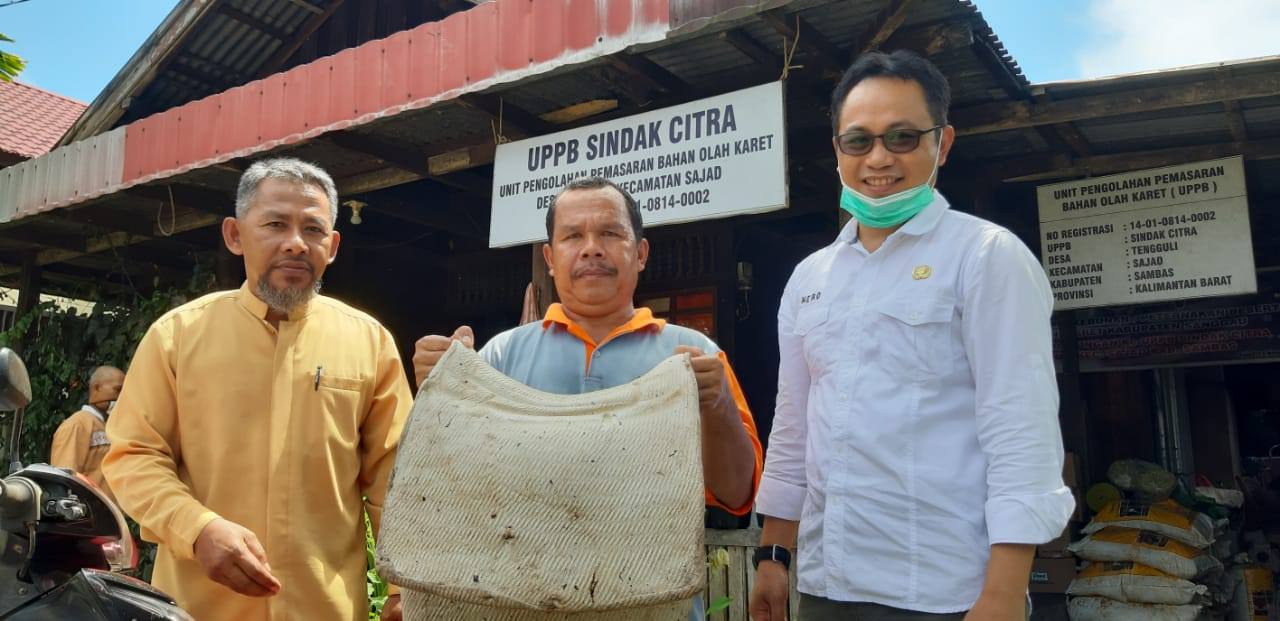 STABILISASI HARGA : Kepala Dinas Perkebunan Kalbar, Heronimus Hero (tengah), saat berkunjung ke UPPB Sidak Citra di Kecamatan Sajad, Kabupaten Sambas, belum lama ini. UPPB punya peran dalam upaya menjaga kestabilan harga karet di tingkat petani. ISTIMEWA