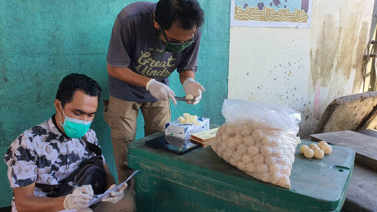 TELUR PENYU: Tim Flying Vet dan BPSPL Pontianak saat mengukur diameter barang bukti telur penyu yang diamankan Direktorat Pol Air Polda Kalbar. ISTIMEWA