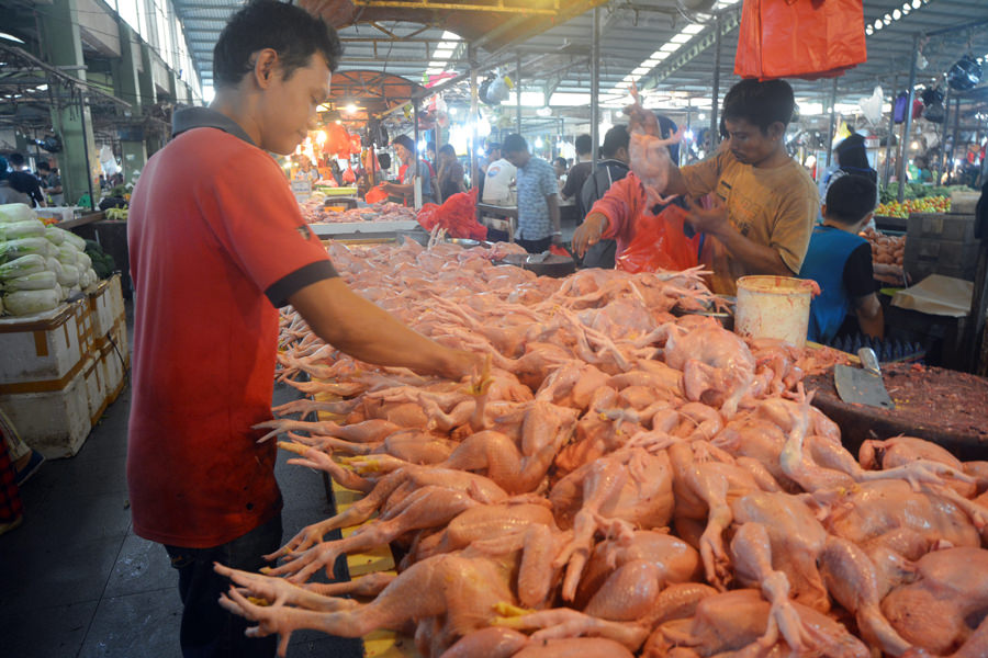 SUMBANG INFLASI: BPS mencatat harga ayam mengalami kenaikan tertinggi di bulan Juni 2020. Kenaikan ini menjadi salah satu penyumbang inflasi. MUJADI/PONTIANAKPOST