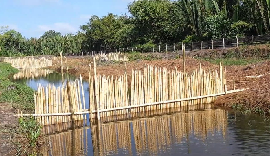 PERCONTOHAN: Lokasi budi daya ikan milik Yulisman, anggota DPRD Kabupaten Kayong Utara menjadi percontohan untuk warga.  ISTIMEWA