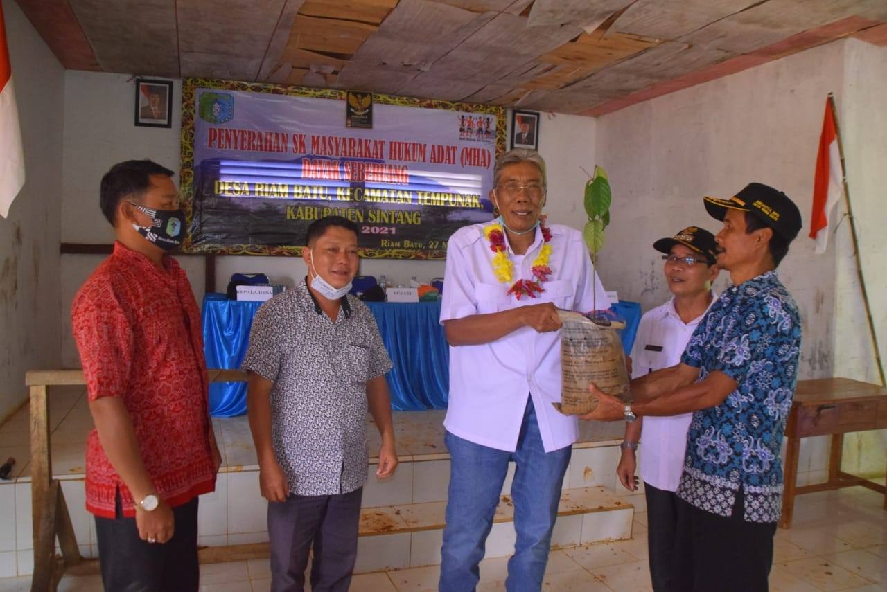 ///SK MHA: Penyerahan hasil pertanian oleh masyarakat Desa Riam Batu, Kecamatan Tempunak, kepada Bupati Sintang, Jarot Winarno, usai penyerahan SK MHA Dayak Seberuang, Sabtu (29/3). ARIS MUNANDAR/PONTIANAK POST///
